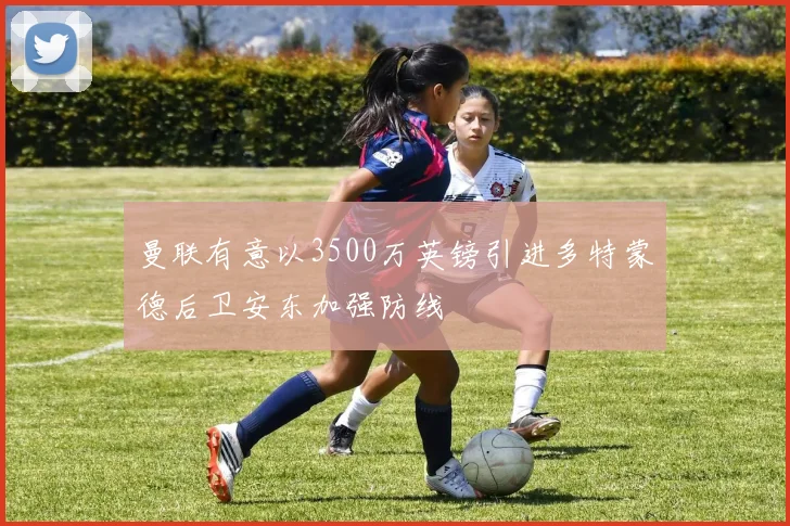 曼联有意以3500万英镑引进多特蒙德后卫安东加强防线